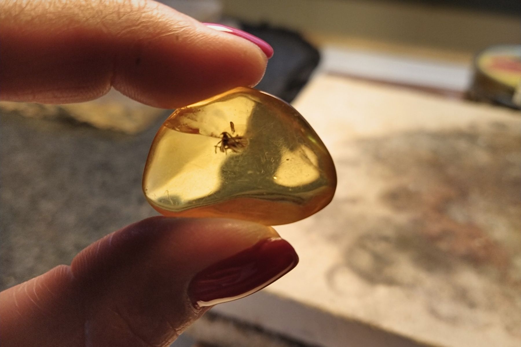Naturalny bursztyn z inkluzją owada wykorzystywany w pracy jubilerskiej