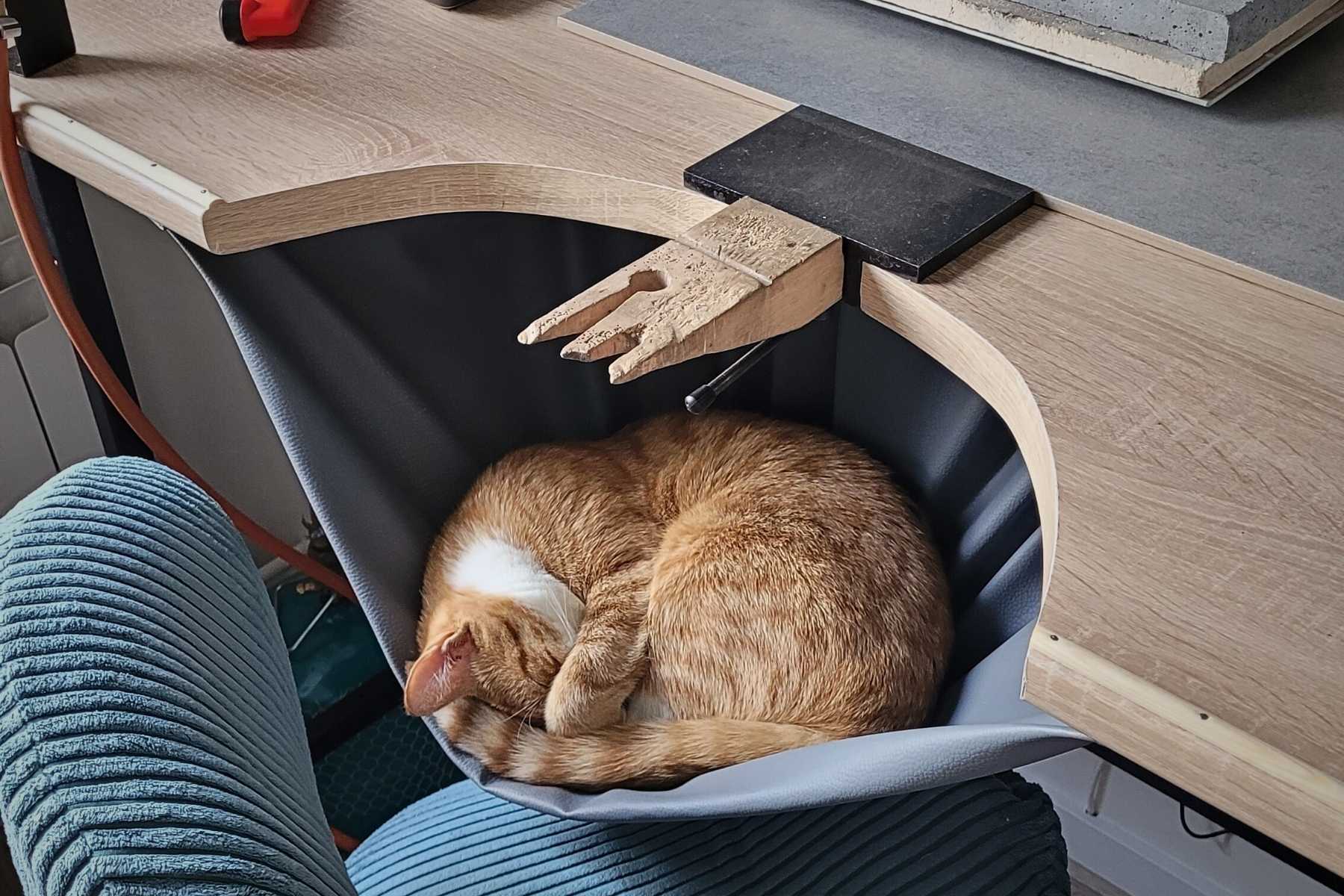 Kot – stały asystent w pracowni jubilerskiej